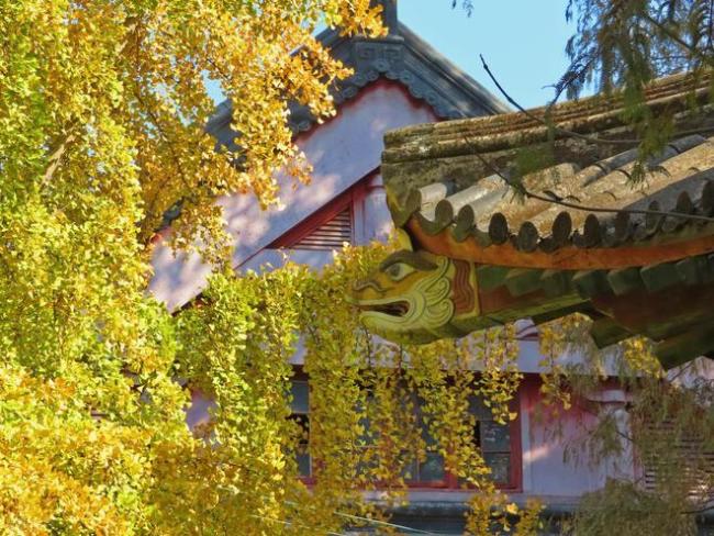 211大學招聘沒編制,兩個女生找不到工作,護理學本科不好就業?